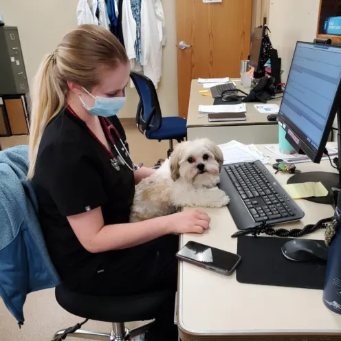 Staff member working at desk with little dog